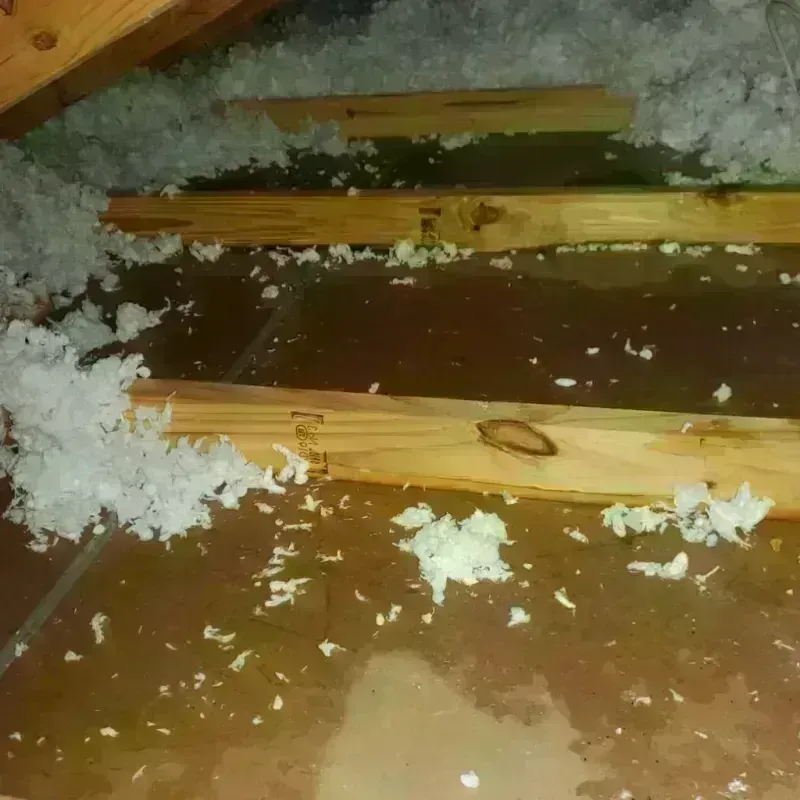 Attic Water Damage in Torrington, CT